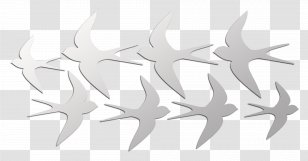 Starfish Angle Font - White Transparent PNG