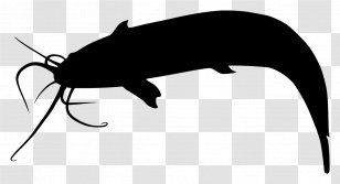 Walking Catfish Silhouette Ictalurus Australis - Pest - Vector Transparent PNG