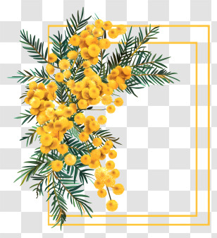 Eucalyptus Trees - Yellow Floral Corner Design With Green Leaves Transparent PNG