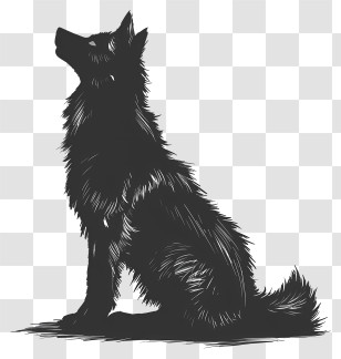 Wolf Silhouette - Black Wolf Silhouette Illustration Transparent PNG