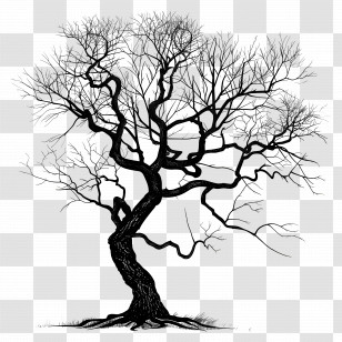 Tree - Illustration Of A Bare Tree With Branches Transparent PNG