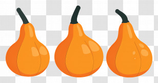 Gourds - Orange Gourds Perfect For Fall Harvest Decoration Transparent PNG