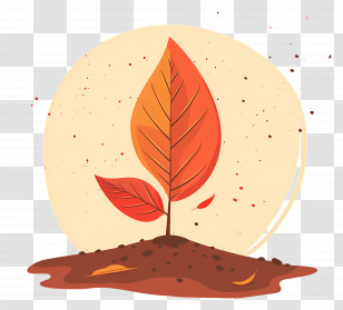 Autumn Leaf On Soil - Plant Sprout In Soil Transparent PNG