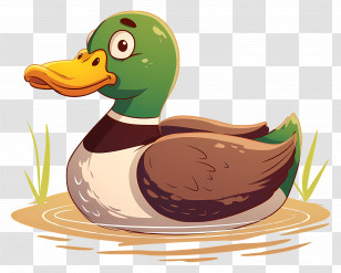 Duck Cartoon - Cartoon Duck Swimming In Pond Transparent PNG
