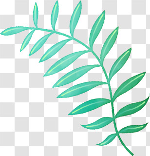 Icon - Green Leaf Botanical Illustration Transparent PNG