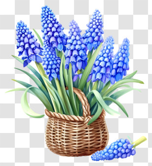 Grape Hyacinth Icon - Basket With Blue Flowers Transparent PNG