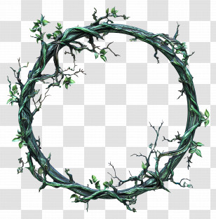 Green Circle Frame - Vine Wreath With Green Leaves Transparent PNG