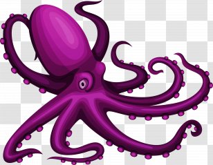 Jellyfish Marine Biology Seabed Starfish - Octopus Transparent PNG