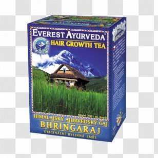 Ayurveda Tea False Daisy Himalayas The Himalaya Drug Company Transparent PNG