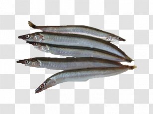 Sardine Pacific Saury Fish Products Anchovies As Food Oily - Bamboo Shoot Transparent PNG