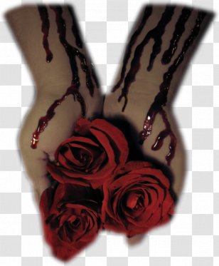 Rose Family - Woman Hands Transparent PNG