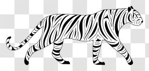Tiger Outline - Black And White Tiger Illustration Transparent PNG