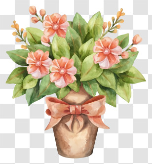 Cartoon - Beautiful Flower Pot With Blooming Plants Transparent PNG