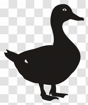 Duck Silhouette - Black Silhouette Of A Duck Transparent PNG