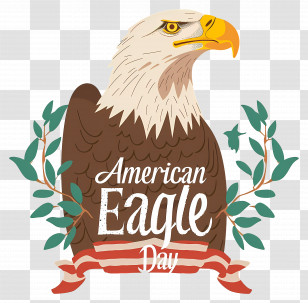 American Eagle Day - American Eagle Day Celebration Transparent PNG
