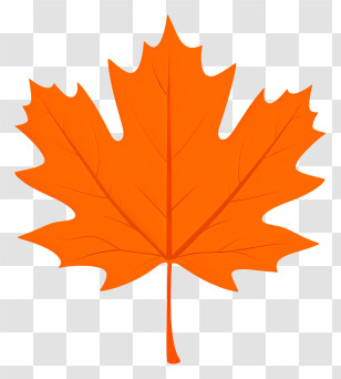 Maple Leaf - Orange Maple Leaf For Autumn Themes Transparent PNG