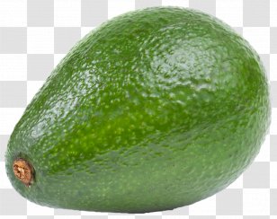 Hass Avocado Fruit Clip Art - Winter Melon Transparent PNG