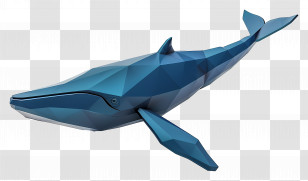 Blue Whale - Blue Whale Illustration Transparent PNG