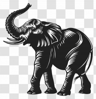 Elephant Trunk Up Silhouette - Black And White Elephant Illustration Transparent PNG