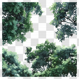Forest Canopy - Tree Canopy With Green Leaves Transparent PNG