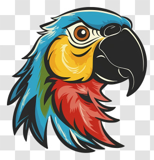 Cartoon - Vibrant Tropical Parrot Illustration Transparent PNG