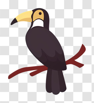 Bird Parrot - Black And Yellow Toucan On A Branch Transparent PNG