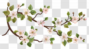 Branch With Flower - Flowering Tree Branches Transparent PNG