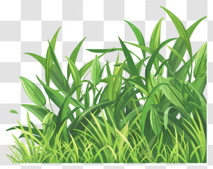 Spring Grass Border - Green Grass Patch Illustration For Nature Concept Transparent PNG