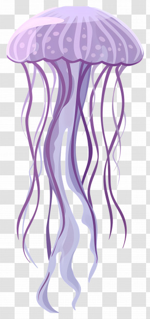 Jelly Fish - Beautiful Purple Jellyfish Illustration Transparent PNG