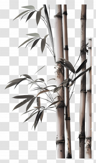 Bamboo - Elegant Bamboo Plants Design Transparent PNG