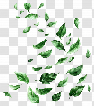 Green Leaves - Green Falling Leaves In Motion Illustration Transparent PNG