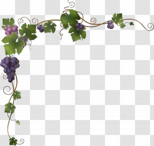 Kyoho Concord Grape White Wine Sultana Wine Transparent PNG