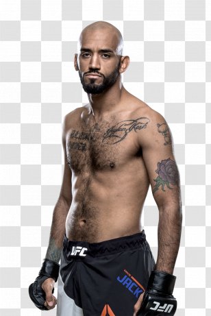 CM Punk UFC 225: Whittaker Vs. Romero 2 1: The Beginning Fight Night 82: Hendricks Thompson 2: No Way Out - Flower - MMA Transparent PNG