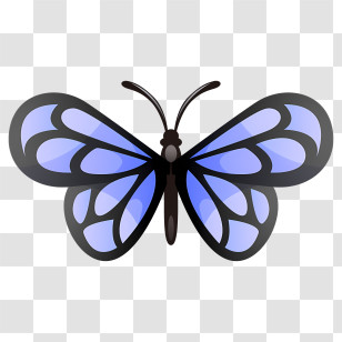 Butterfly - Blue Butterfly Illustration Transparent PNG