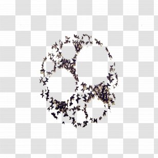 Haft-Seen Butterfly Bride Nowruz Wedding Transparent PNG