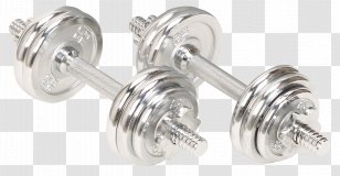 Dumbbell Physical Exercise Bodybuilding - Equipment Transparent PNG