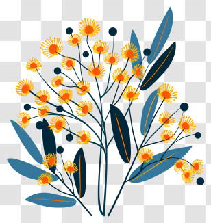 Mimosa Flowers - Yellow Flowers With Blue Leaves Illustration Transparent PNG