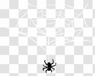 Halloween Spider Web - Spider And Web Illustration Transparent PNG