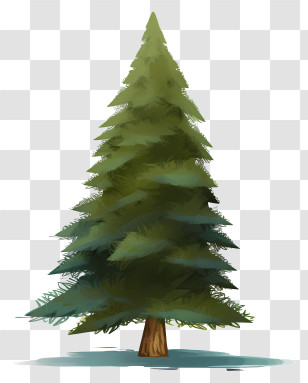 Pine Tree - Tall Green Pine Tree In Nature Transparent PNG