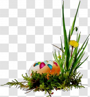 Floral Design Easter Egg Grasses Transparent PNG
