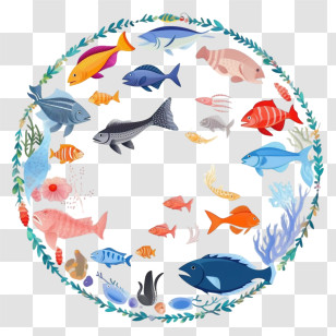 Beach
 - Colorful Fish Circle Transparent PNG