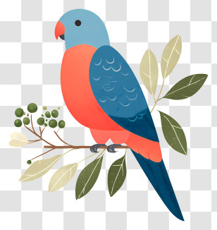 Australian Parrot - Colorful Parrot On A Branch Transparent PNG
