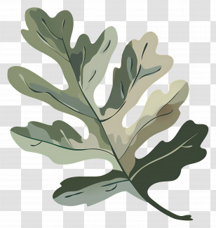 Oak Leaf - Green Oak Leaf Transparent PNG