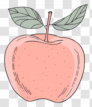 Apple Outline - Minimalistic Pink Peach Apple Drawing Transparent PNG