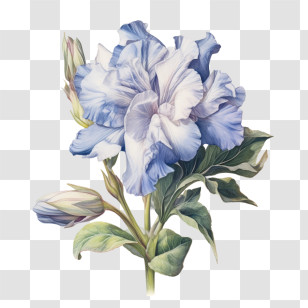 Flower Emoji - Beautiful Blue Flower Botanical Illustration Transparent PNG