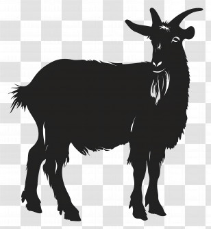 Goat Silhouette - Silhouette Of A Black Goat With Horns Transparent PNG