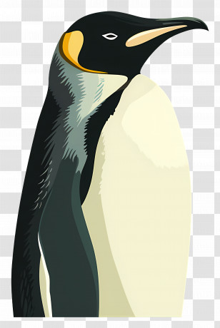 Penguin - Standing Penguin Illustration Transparent PNG