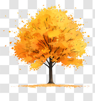 Yellow Maple Tree - Autumn Tree With Vibrant Orange Leaves Transparent PNG