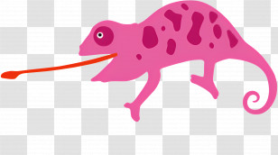 Chameleon - Cartoon Pink Chameleon Illustration Transparent PNG