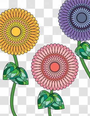 Clip Art Image Common Sunflower Illustration - Petal - Closeup